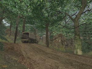 dod_copse_b1